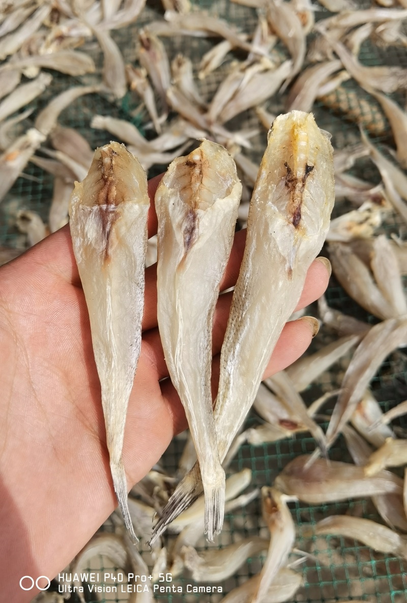 沙丁鱼沙甲丁鱼咸鱼干