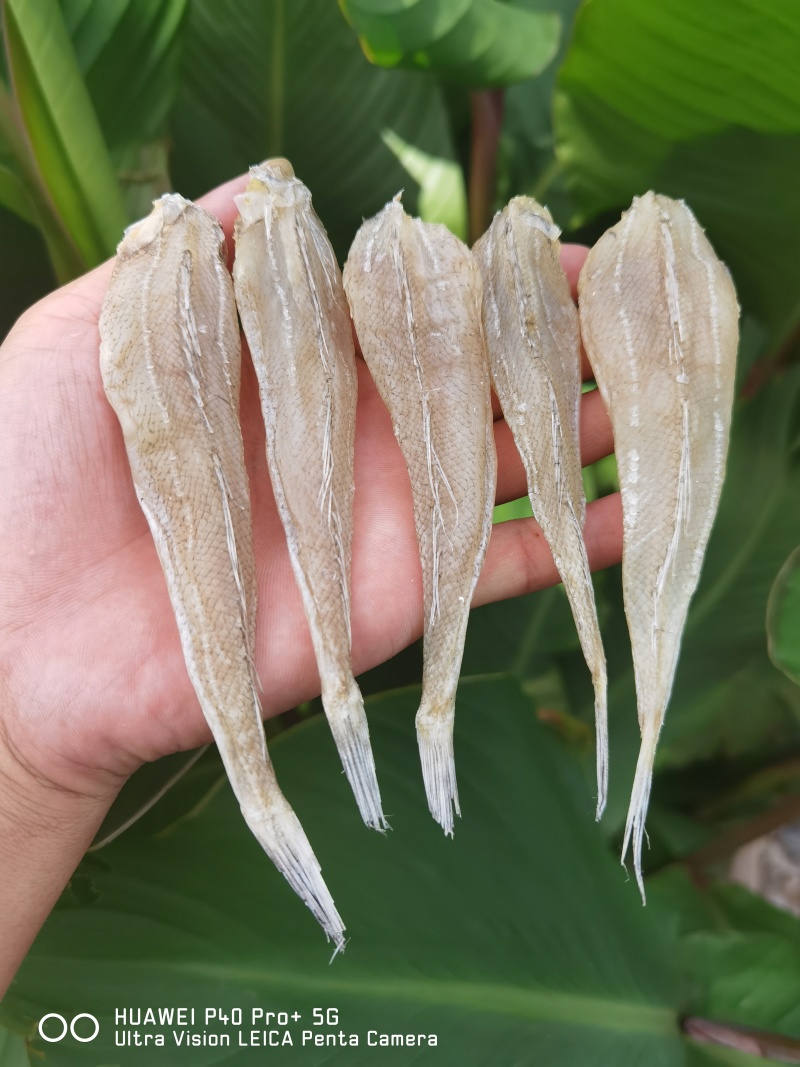 沙丁鱼沙甲丁鱼咸鱼干