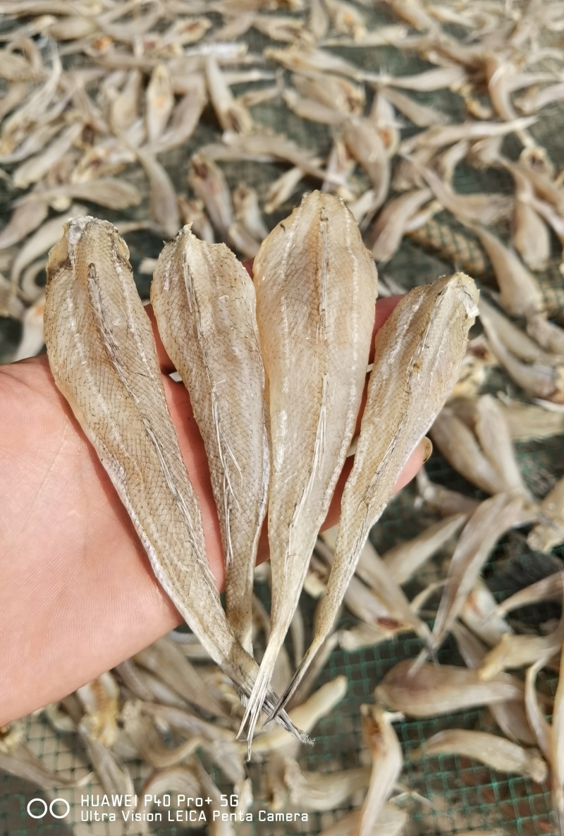 沙丁鱼沙甲丁鱼咸鱼干