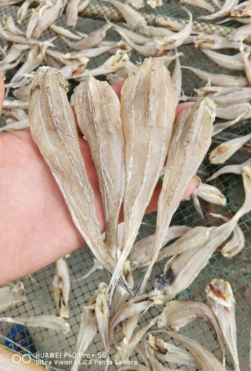 沙丁鱼沙甲丁鱼咸鱼干