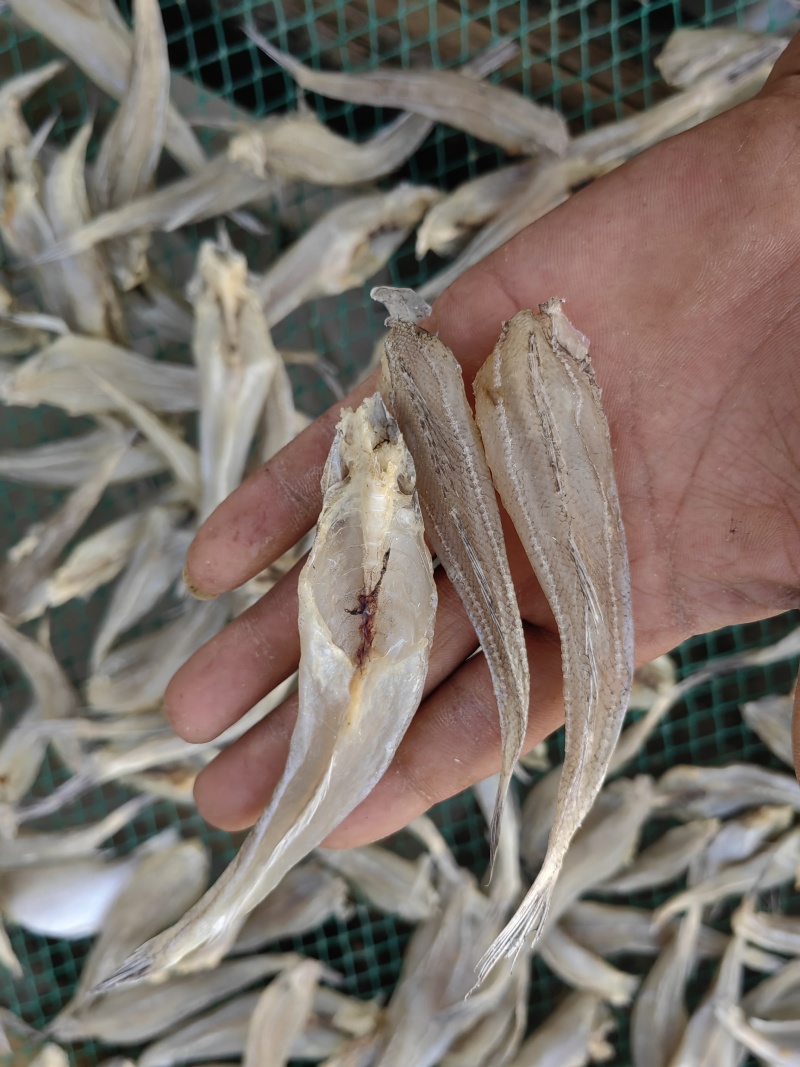 沙丁鱼沙甲丁鱼咸鱼干