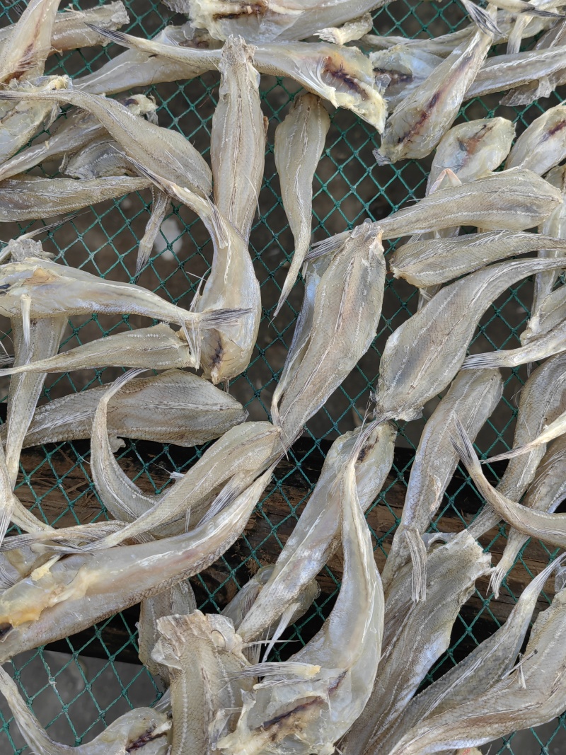 沙丁鱼沙甲丁鱼咸鱼干