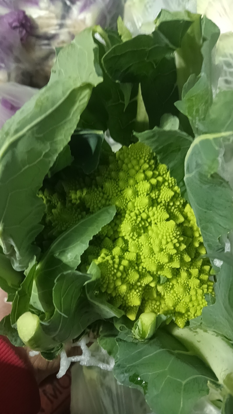 精品宝塔花