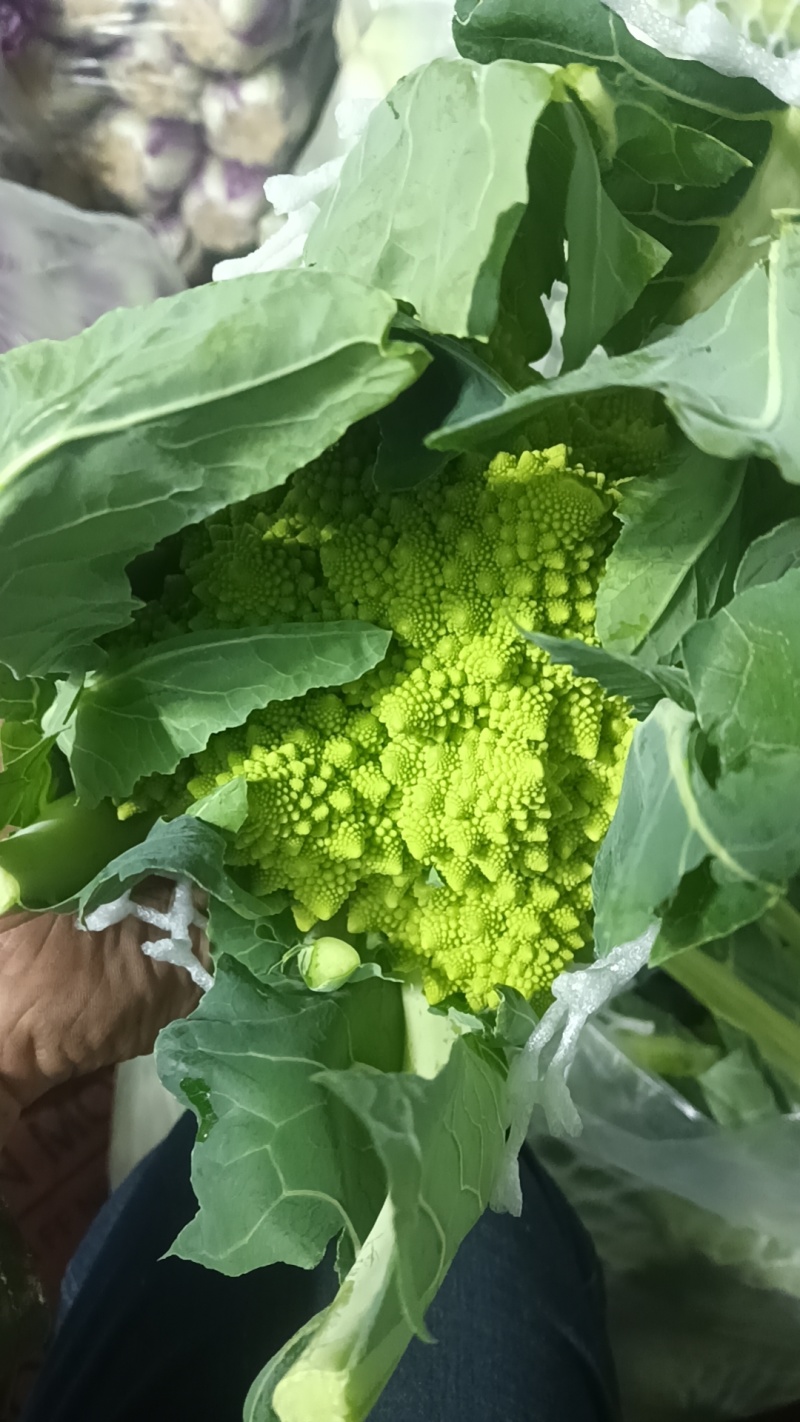 精品宝塔花