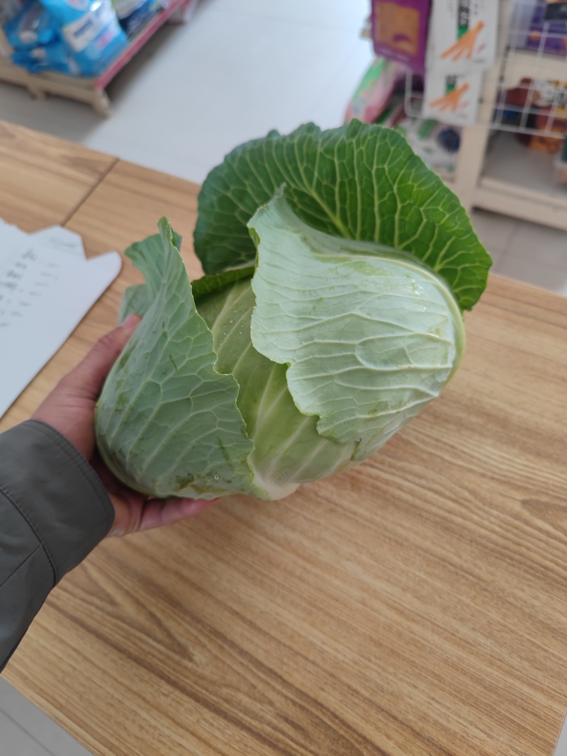 湖北扁包菜，奥奇娜扁包，铁宝2号扁包