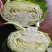 湖北扁包菜，奥奇娜扁包，铁宝2号扁包