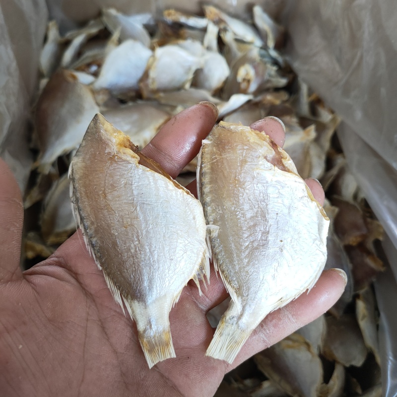 红鲷鱼腊仔鱼咸鱼干