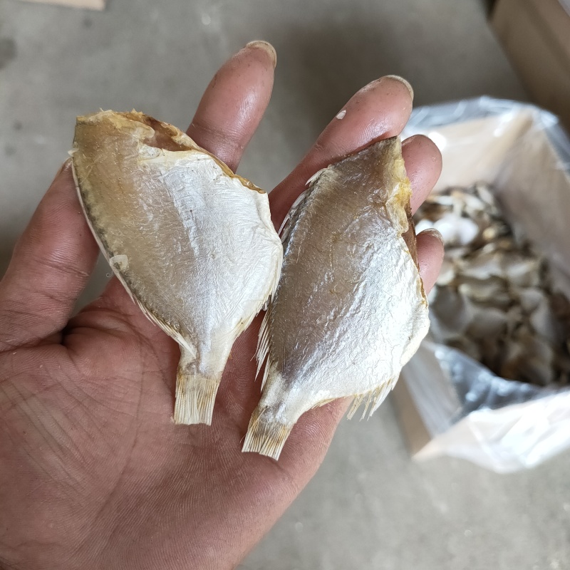 红鲷鱼腊仔鱼咸鱼干