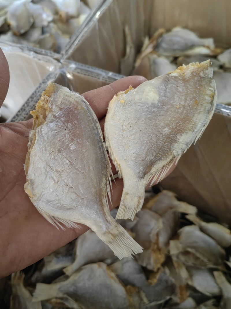 红鲷鱼腊仔鱼咸鱼干