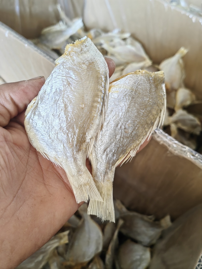 红鲷鱼腊仔鱼咸鱼干