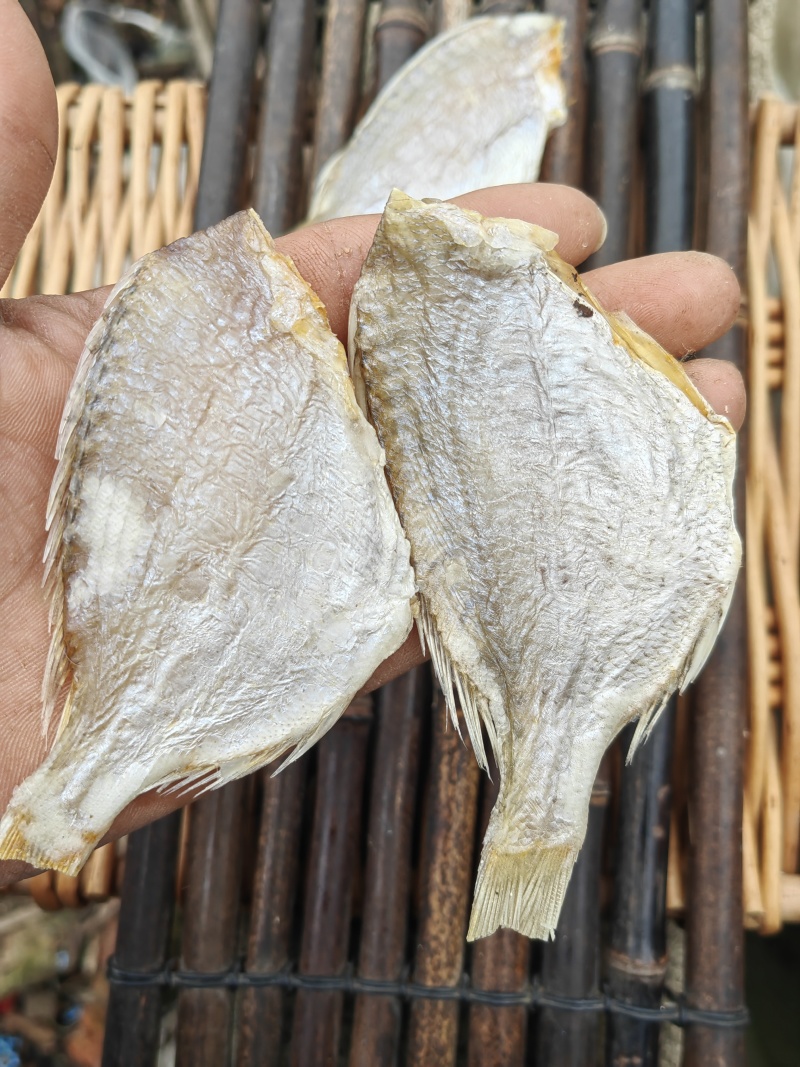 红鲷鱼腊仔鱼咸鱼干