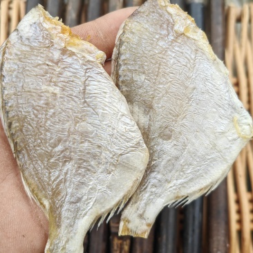 红鲷鱼腊仔鱼咸鱼干