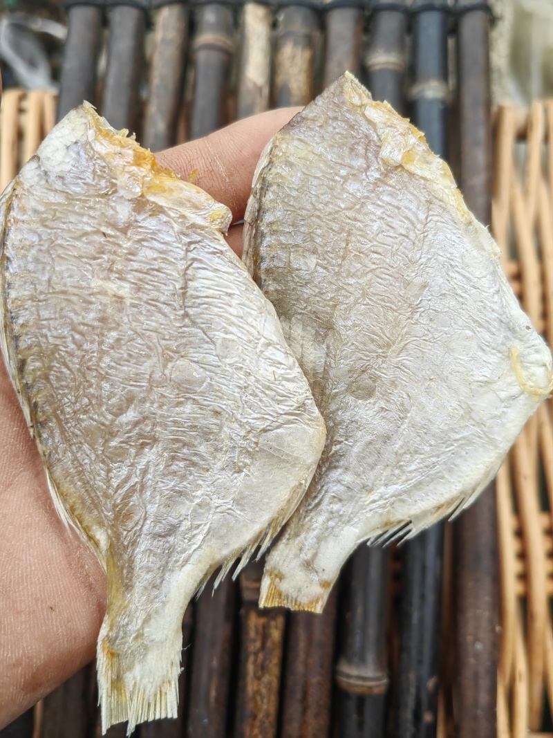 红鲷鱼腊仔鱼咸鱼干
