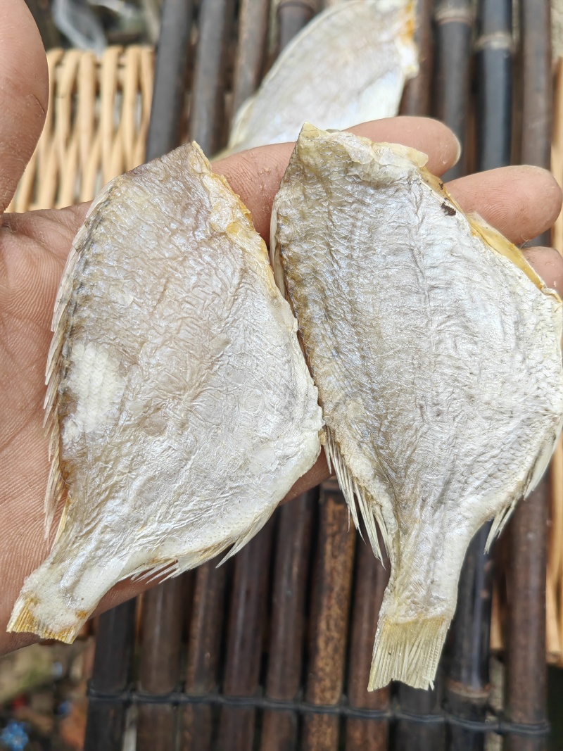红鲷鱼腊仔鱼咸鱼干