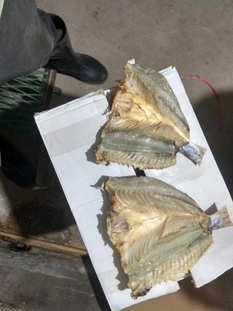 送礼佳品花鲈鱼