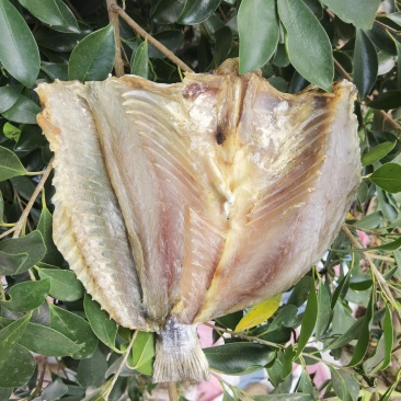 送礼佳品花鲈鱼