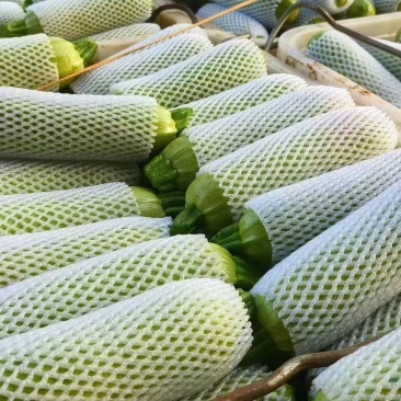 西葫芦