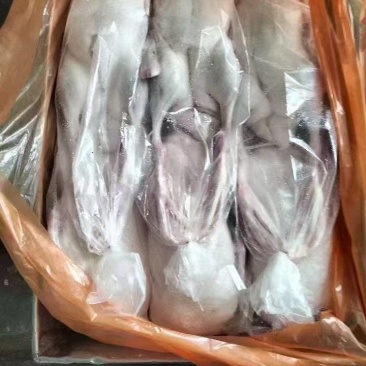 全鸭有货黄皮全鸭有货