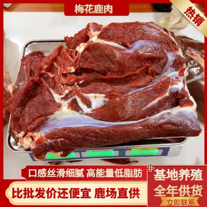 长年批发梅花鹿肉只做鲜鹿肉38一斤量大从优真鹿肉