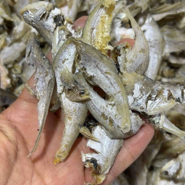 小熟鱼、锅包鱼鱼干好吃！一手货源大量供货欢迎来电咨询