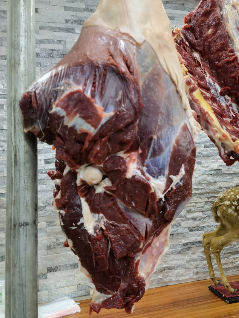 长年批发梅花鹿肉只做鲜鹿肉38一斤量大从优真鹿肉
