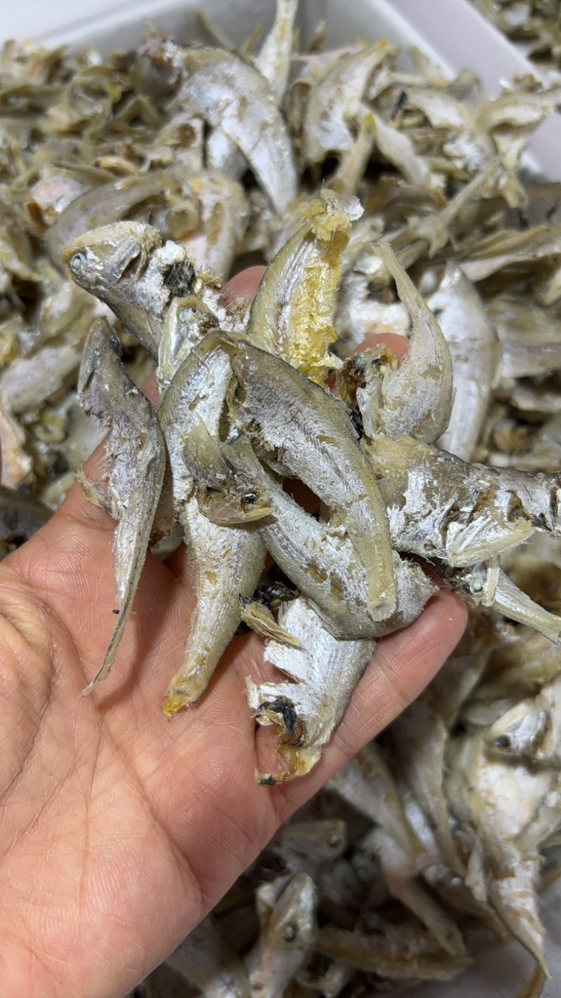 小熟鱼、锅包鱼鱼干好吃！一手货源大量供货欢迎来电咨询