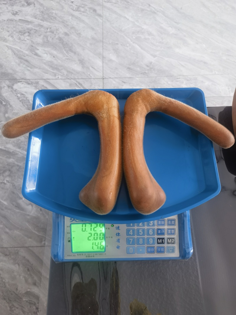 梅花鹿茸全部现货顺丰包邮小克数头茬二杠鹿茸