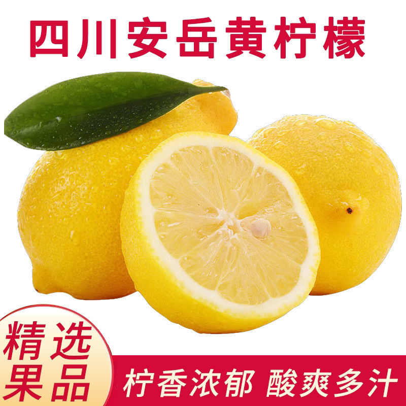 一件代发安岳黄柠檬新鲜水果皮薄多汁产地直发一级薄皮鲜果