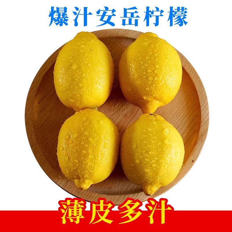 一件代发安岳黄柠檬新鲜水果皮薄多汁产地直发一级薄皮鲜果
