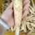 冬粉薯，大量上市，全国发货，量大更优惠。