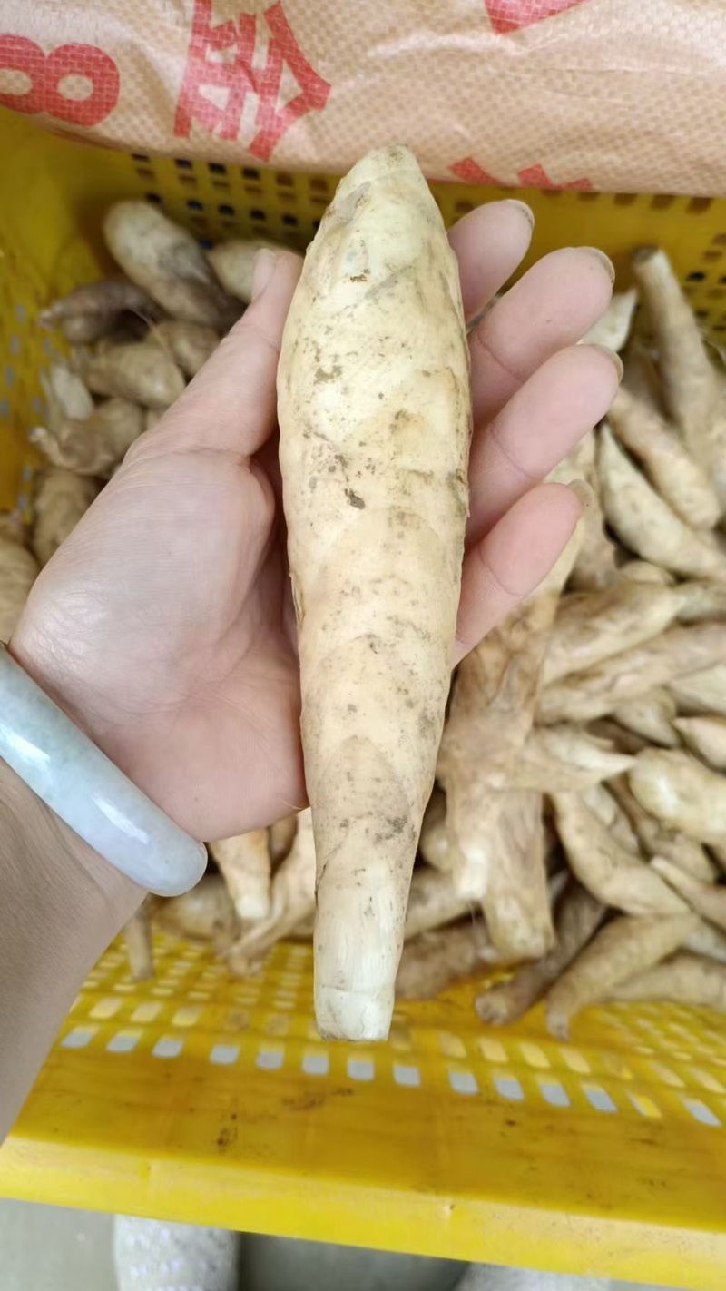 冬粉薯，大量上市，全国发货，量大更优惠。