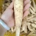 冬粉薯，大量上市，全国发货，量大更优惠。