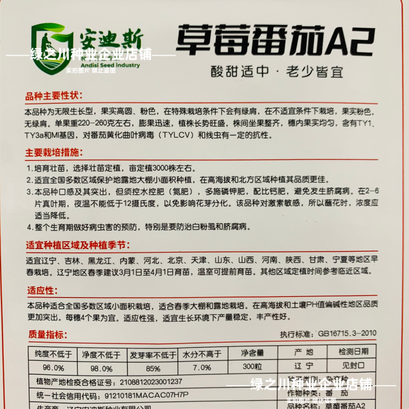 东北铁皮柿子A2草莓番茄种子口感西红柿种子水果柿子酸甜