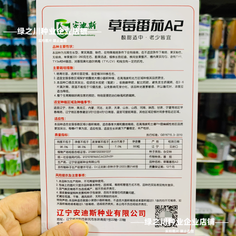 东北铁皮柿子A2草莓番茄种子口感西红柿种子水果柿子酸甜