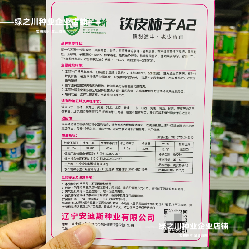 东北铁皮柿子A2草莓番茄种子口感西红柿种子水果柿子酸甜