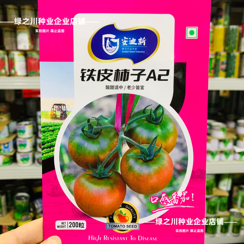 东北铁皮柿子A2草莓番茄种子口感西红柿种子水果柿子酸甜