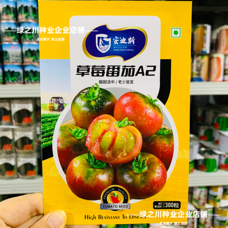 东北铁皮柿子A2草莓番茄种子口感西红柿种子水果柿子酸甜