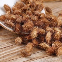 苍耳中药材正宗苍耳子带刺天然成熟草毛苍子包邮毛新货加工