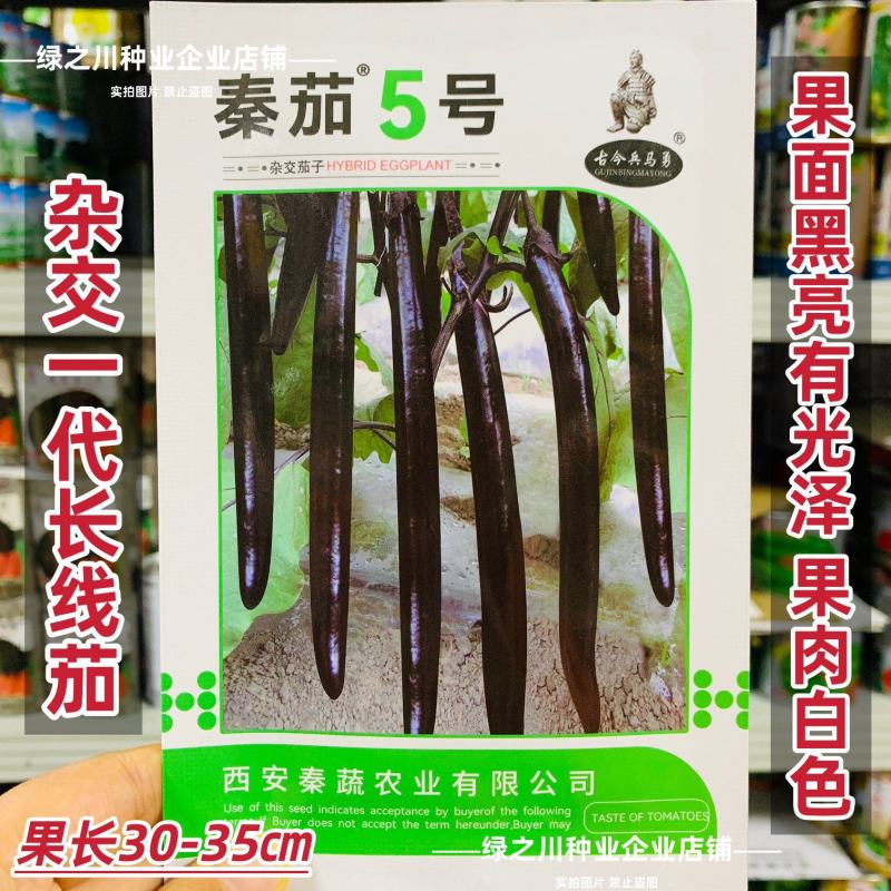 特长黑线茄种子黑长茄种子黑亮茄子种子白肉秦茄5号茄子种子