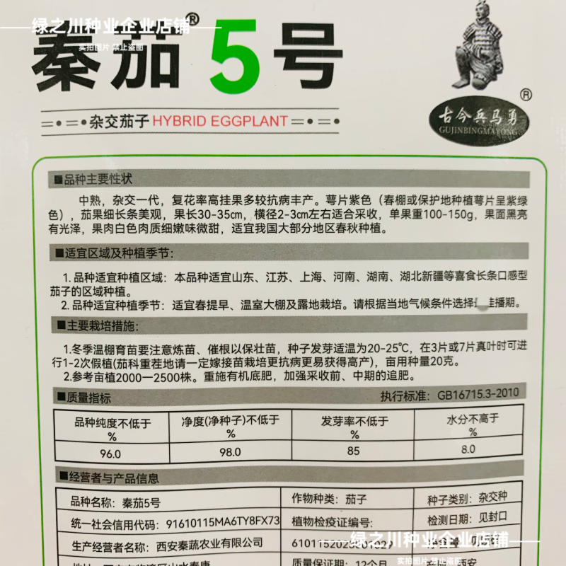 特长黑线茄种子黑长茄种子黑亮茄子种子白肉秦茄5号茄子种子
