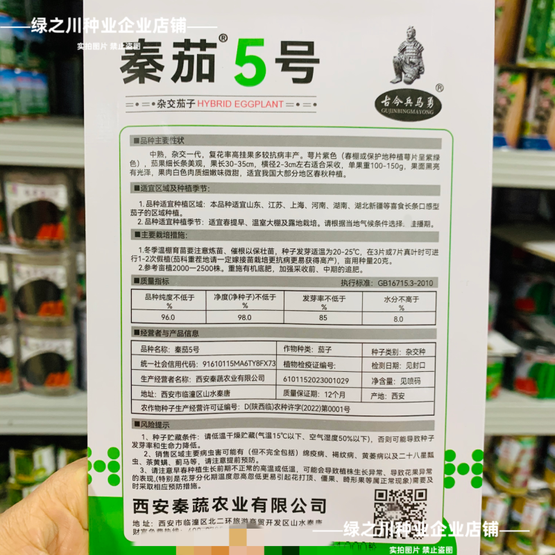 特长黑线茄种子黑长茄种子黑亮茄子种子白肉秦茄5号茄子种子