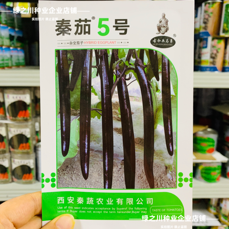特长黑线茄种子黑长茄种子黑亮茄子种子白肉秦茄5号茄子种子