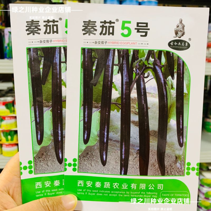 特长黑线茄种子黑长茄种子黑亮茄子种子白肉秦茄5号茄子种子
