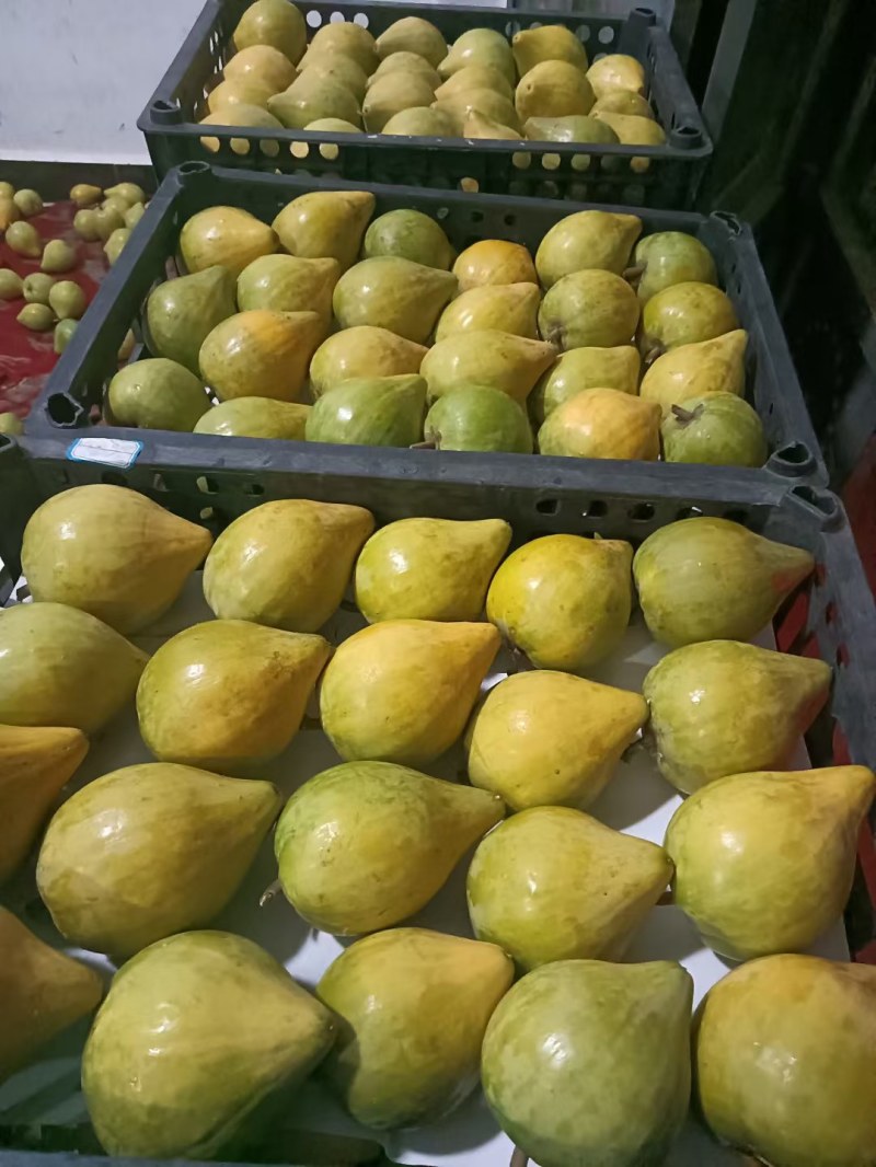 鸡蛋果，**好吃，