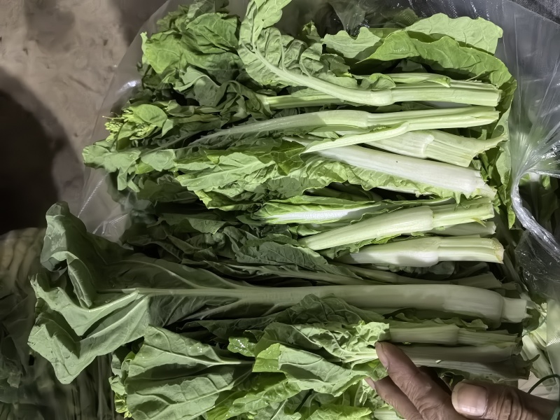 白菜苔大量上市