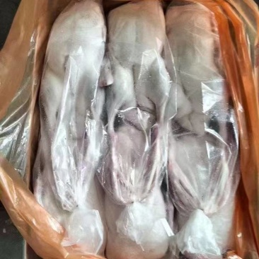 全鸭，规格齐全