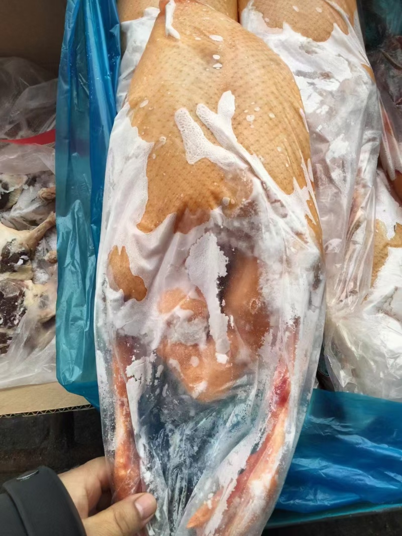 全鸭，规格齐全