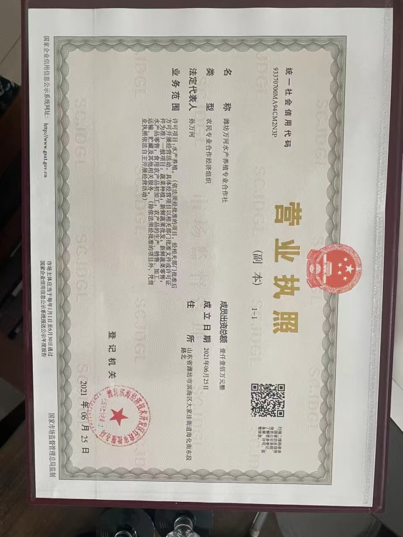 山东潍坊养虾厂里批发无冰衣手扒速冻鲜虾仁