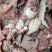 【牛头肉】国产纯干公牛带皮，手工採毛纯清水煮制