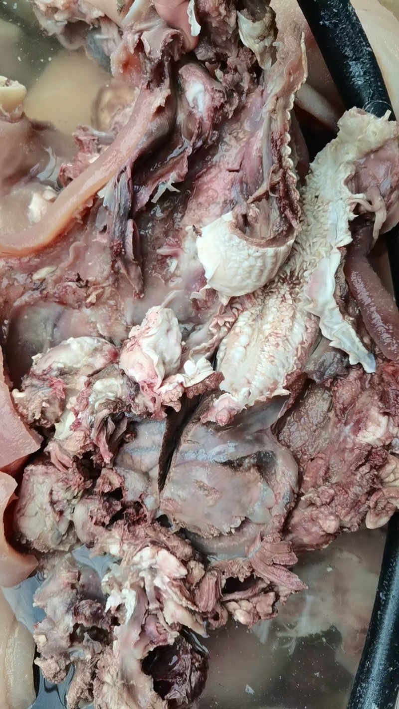 【牛头肉】国产纯干公牛带皮，手工採毛纯清水煮制